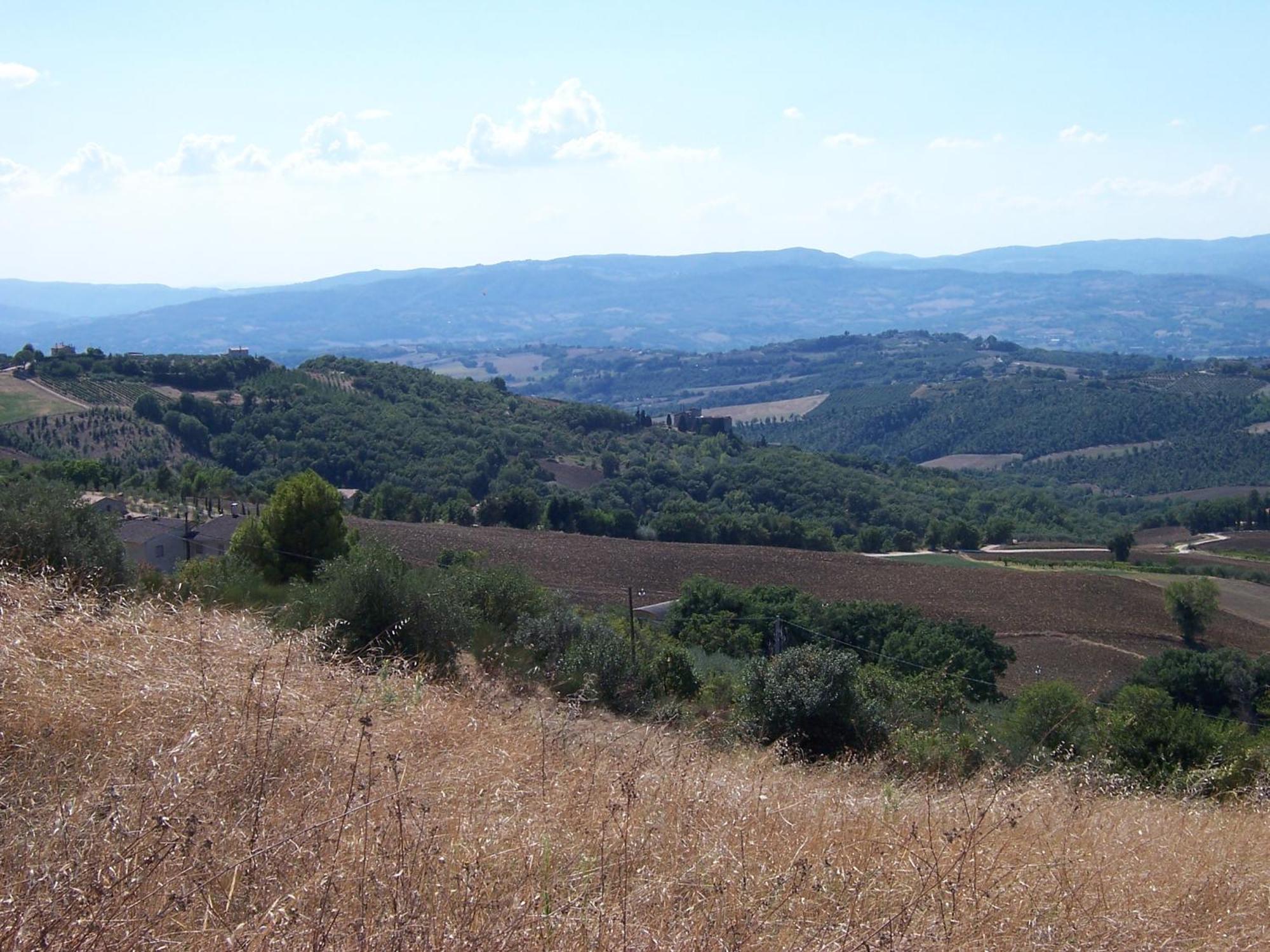 Agriturismo La Casella San Terenziano Eksteriør bilde